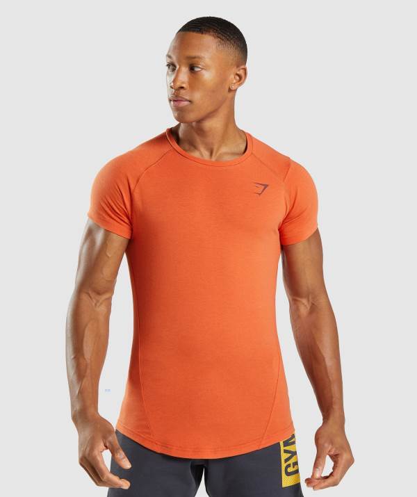 Panske Tricka Gymshark Bold Oranžové | HQ5371082